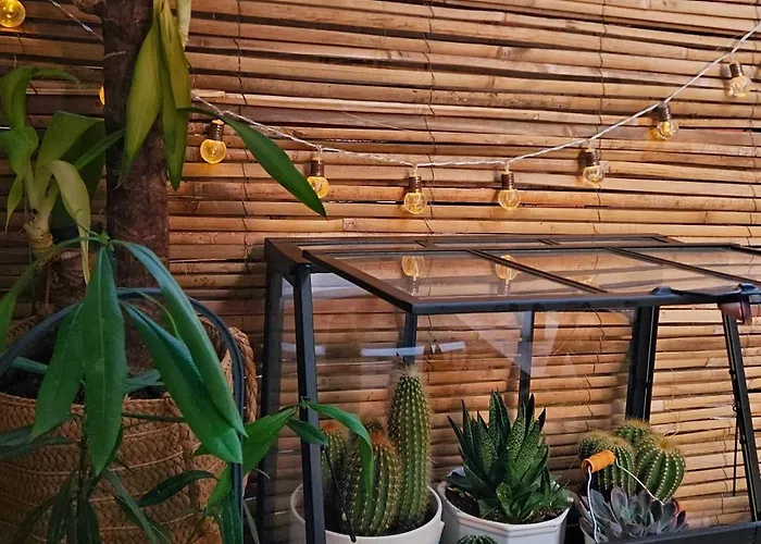 Homestay szállás River - Private Wc